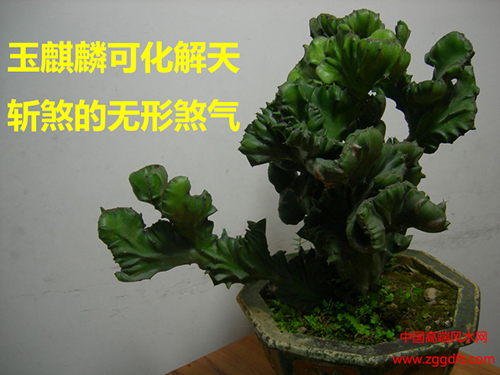 լˮ֮ɫնɷ仯ⷽ