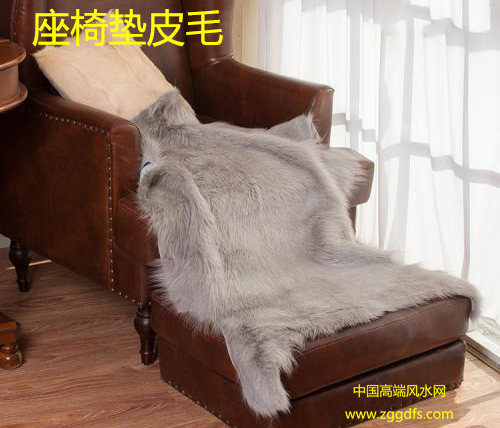 鷿ڷʲôߺӵѧϰɼ