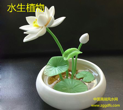 鷿ˮ