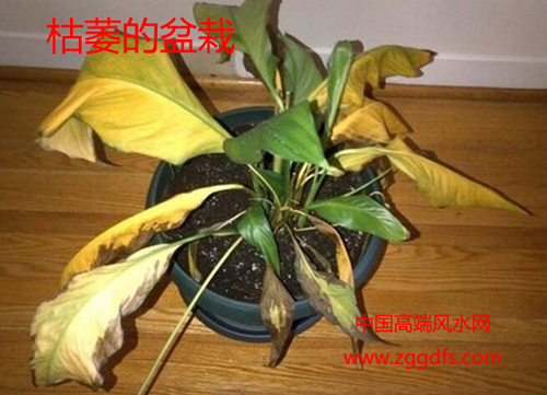 Ӱ콡ķˮ