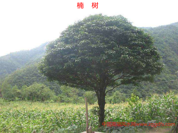 ֲķ綫¥ί绰ˮЧֲˮ