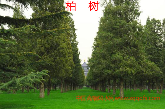 ֲķ綫¥ί绰ˮЧֲˮ