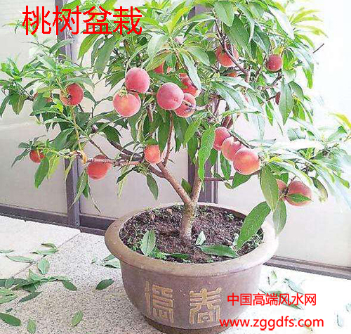 ֲķ綫¥ί绰ˮЧֲˮ