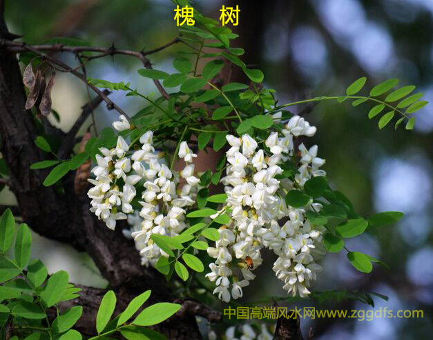 ֲķ綫¥ί绰ˮЧֲˮ
