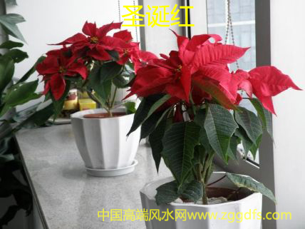 ˮʦӼҷˮ ˮ֪ʶͥг
