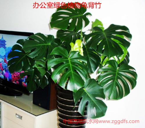 ˮѵ2018ڹСȨ칫ֲˮַ