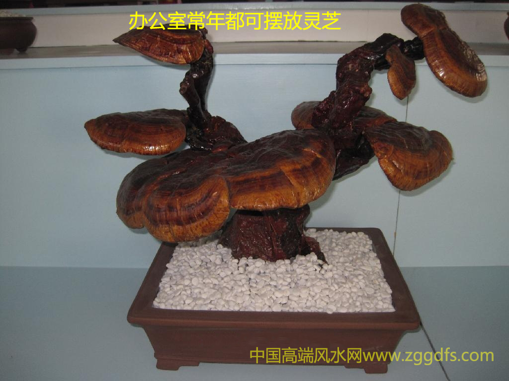 ˮѵ2018ڹСȨ칫ֲˮַ