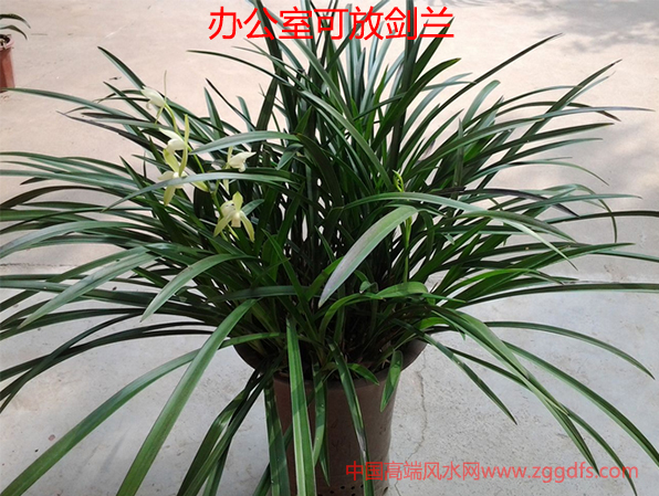 ˮѵ2018ڹСȨ칫ֲˮַ