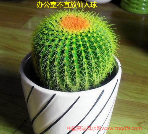 ˮѵ2018ڹСȨ칫ֲˮַ