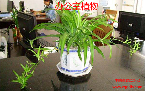 ˮѵ2018ڹСȨ칫ֲˮַ